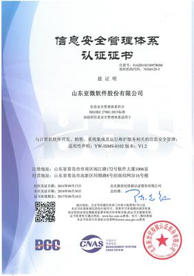 山東亞微軟件股份有限公司 深耕軟件開(kāi)發(fā)，驅(qū)動(dòng)區(qū)域數(shù)字化轉(zhuǎn)型